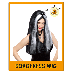 Halloween Party Sorceress Wig Morticia Wig