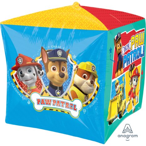 3227501 Paw Patrol Front Side